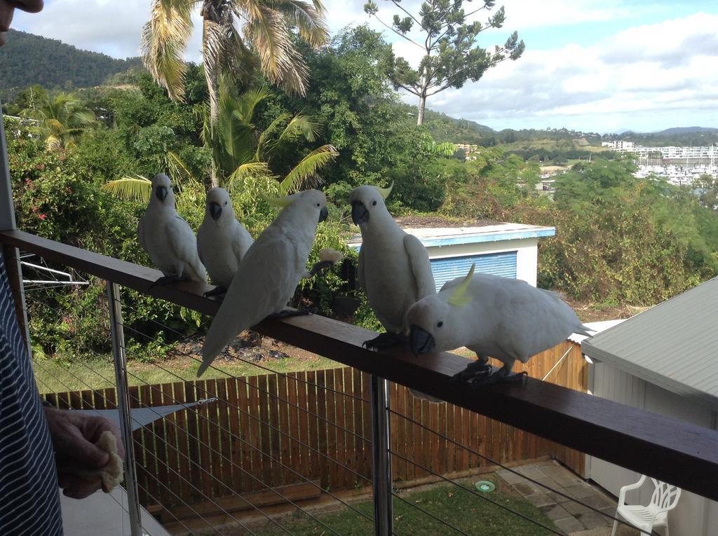 Studio Apartment With Seaview Airlie Beach Eksteriør bilde